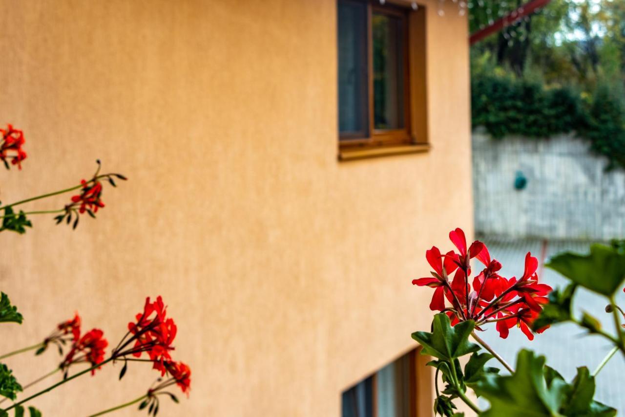 Casa Tofi Vendégház Praid Exterior foto
